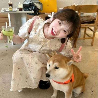 美国风情画续集